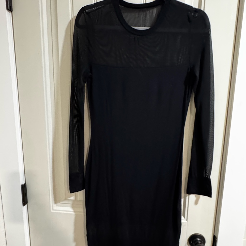 Elegant Black Sheer long Sleeve Dress